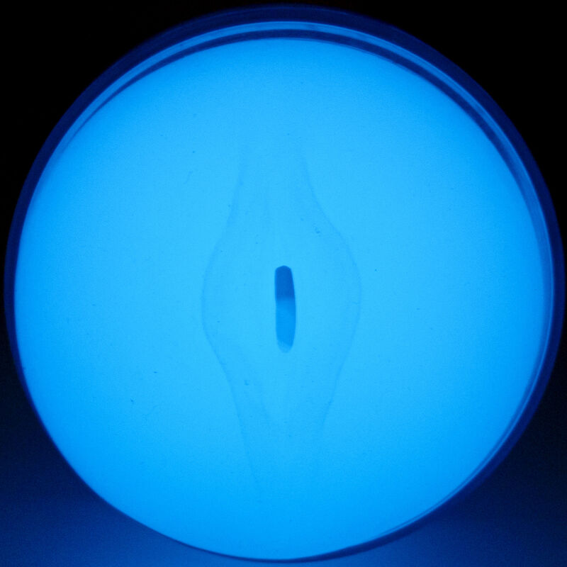 KIIROO FeelGlow masturbátor svítící ve tmě